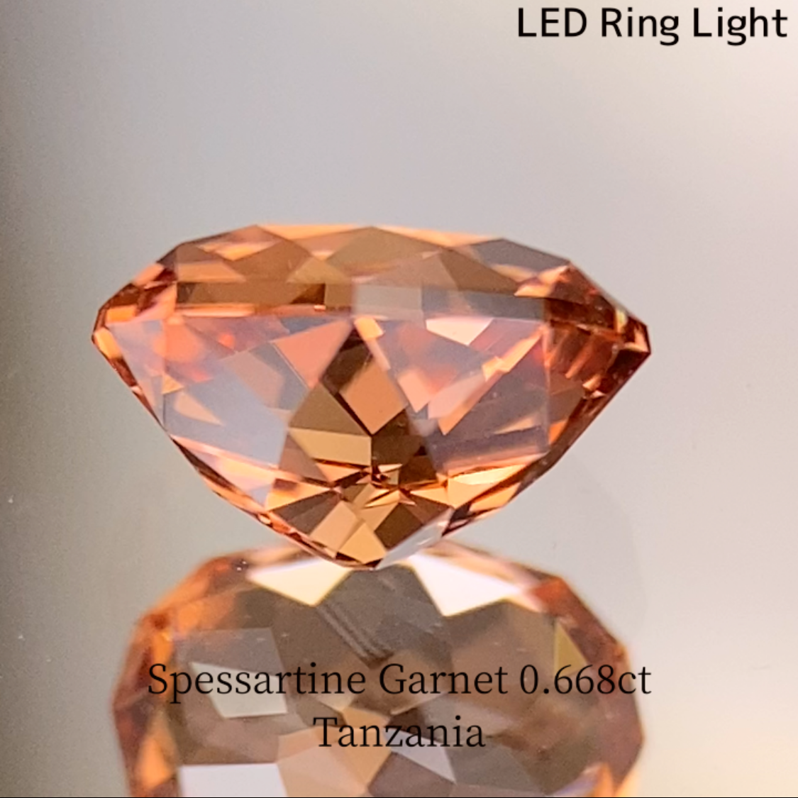 Spessartine Garnet 0.688ct / Tanzania