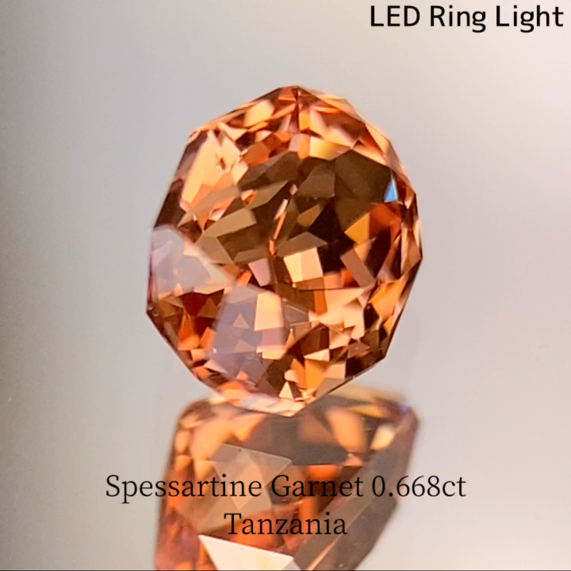 Spessartine Garnet 0.688ct / Tanzania