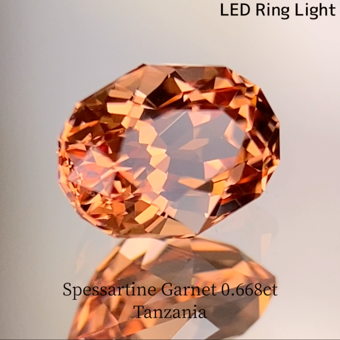 Spessartine Garnet 0.688ct / Tanzania