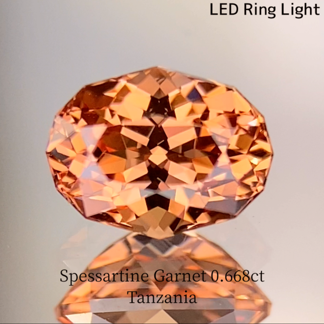 Spessartine Garnet 0.688ct / Tanzania