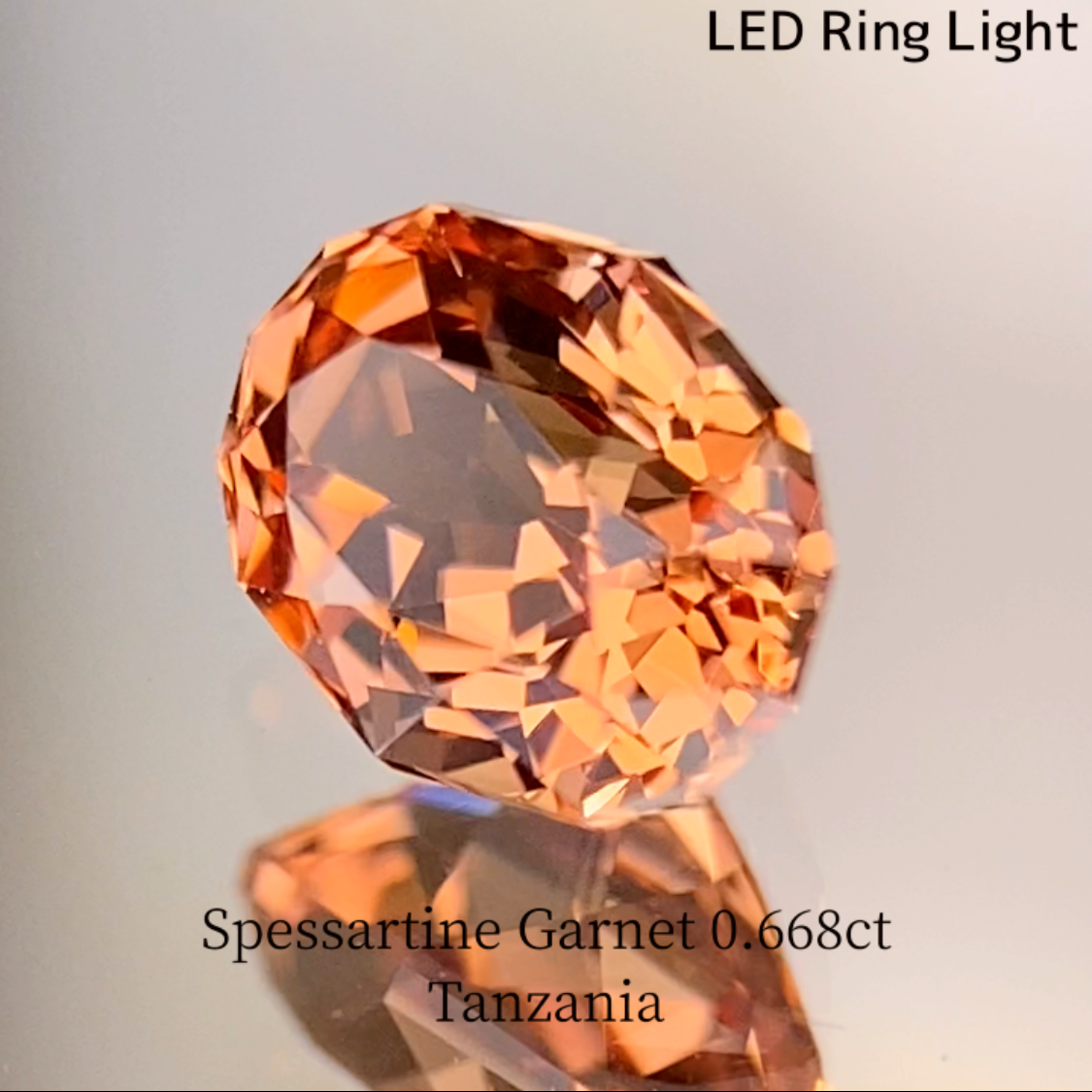Spessartine Garnet 0.688ct / Tanzania