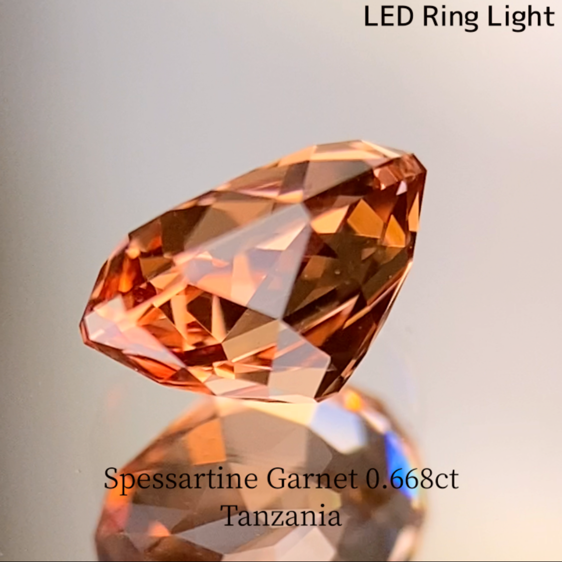 Spessartine Garnet 0.688ct / Tanzania