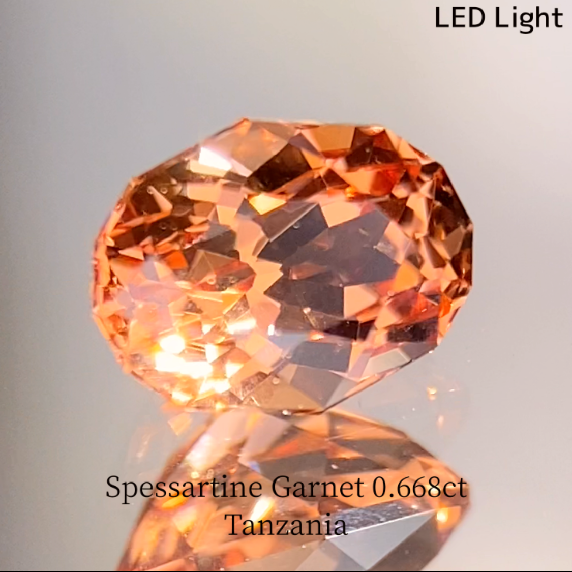 Spessartine Garnet 0.688ct / Tanzania