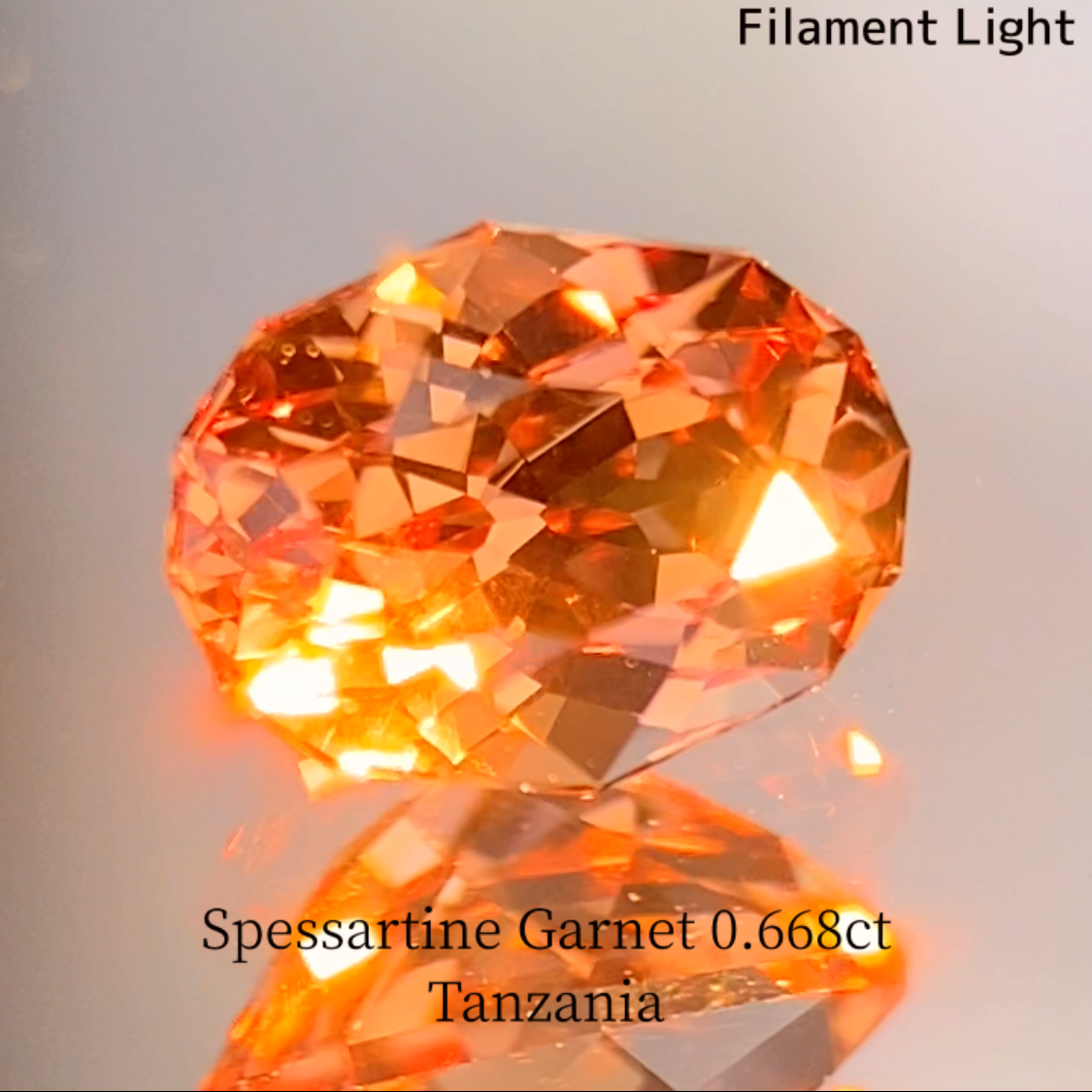 Spessartine Garnet 0.688ct / Tanzania