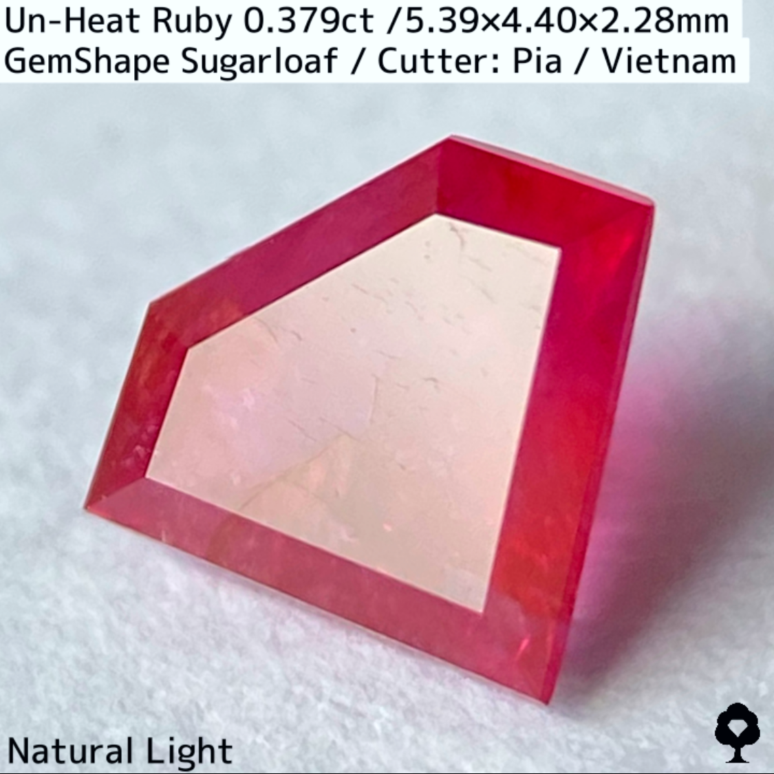 Ruby 0.379ct / Vietnam