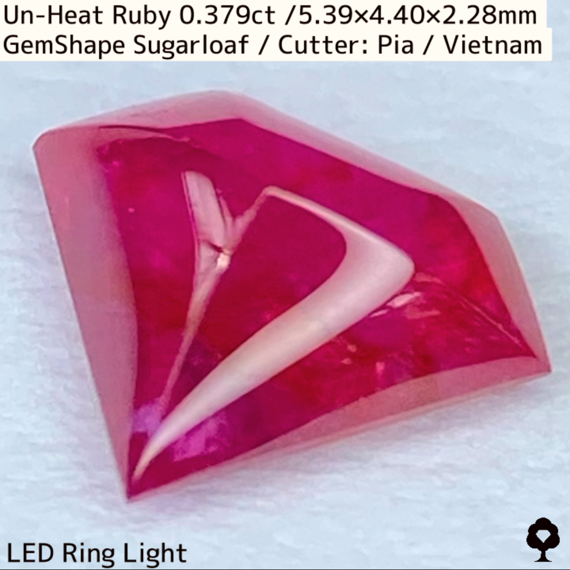 Ruby 0.379ct / Vietnam