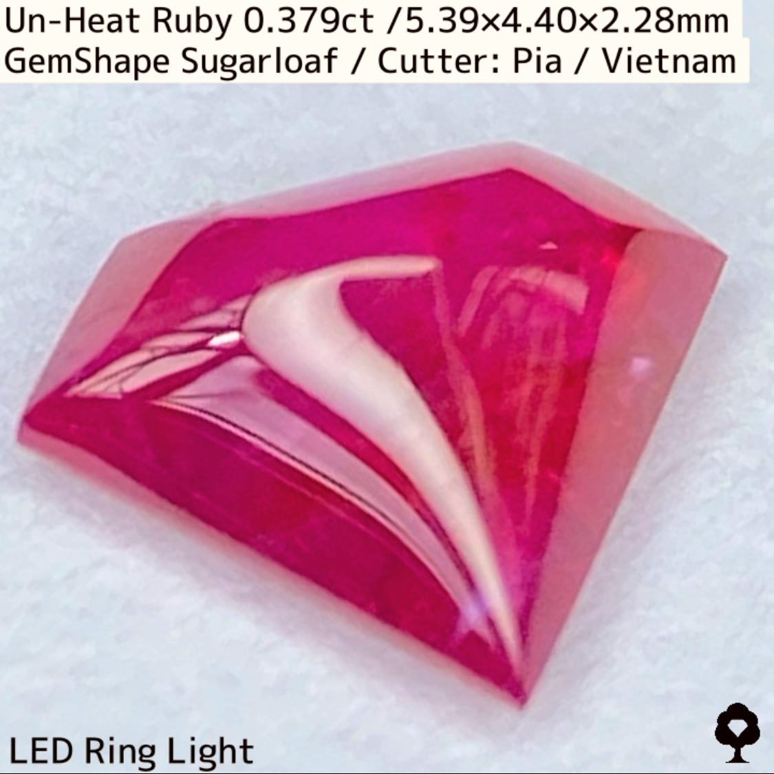 Ruby 0.379ct / Vietnam