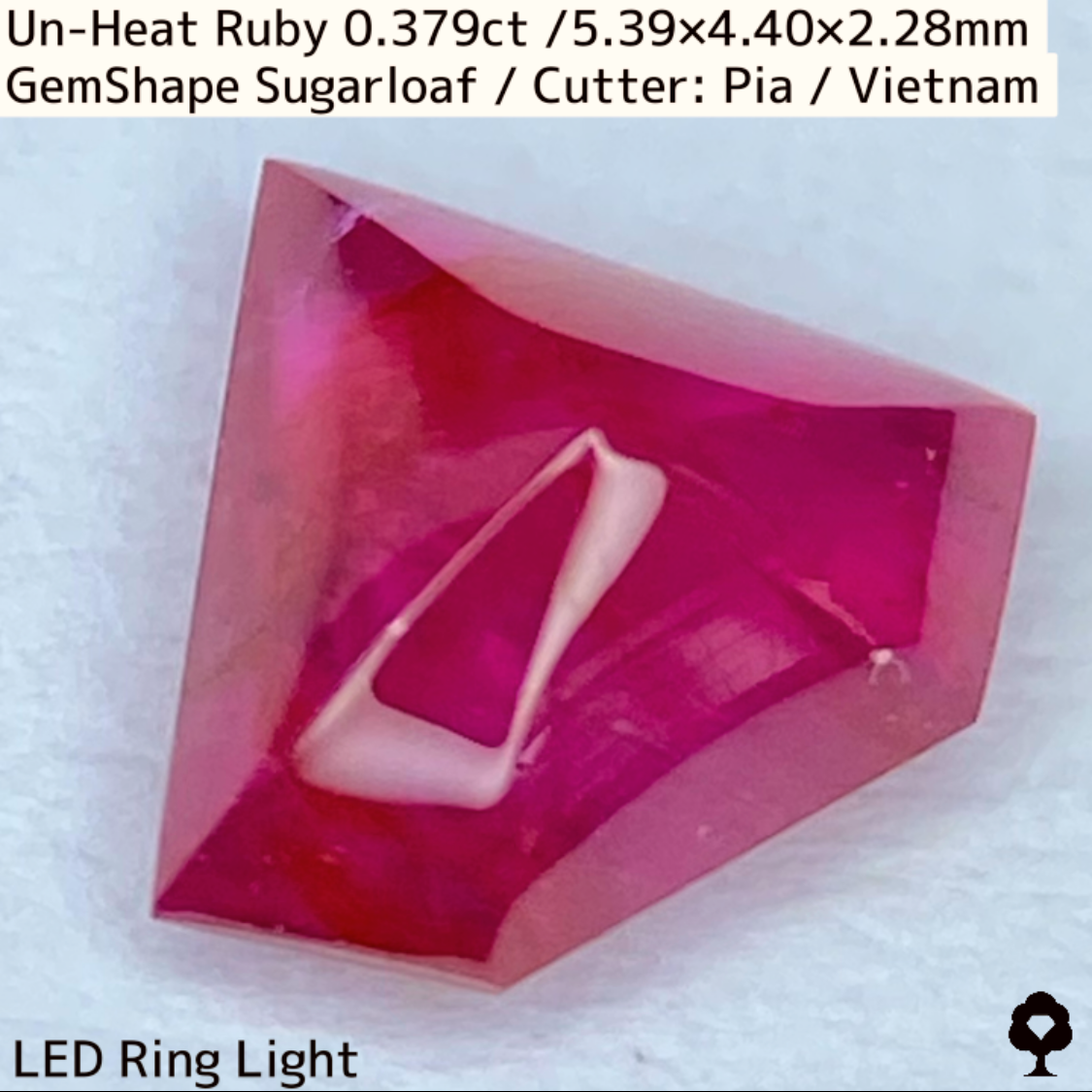 Ruby 0.379ct / Vietnam
