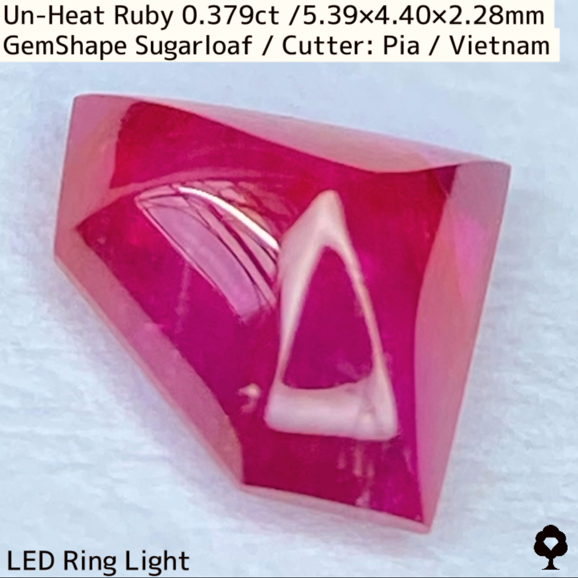 Ruby 0.379ct / Vietnam