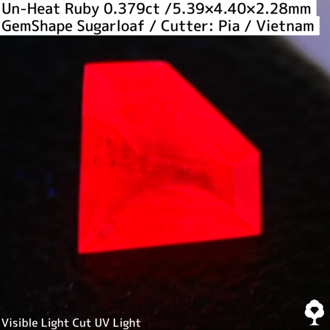 Ruby 0.379ct / Vietnam
