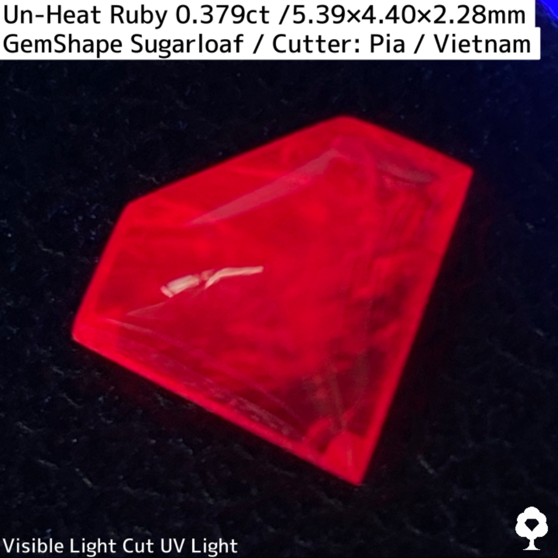 Ruby 0.379ct / Vietnam