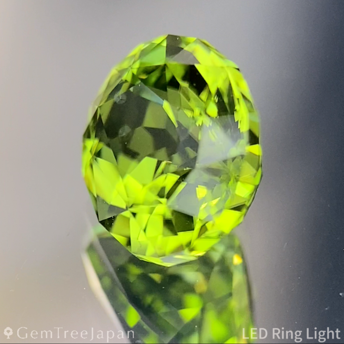 Peridot 1.62ct / Vietnam