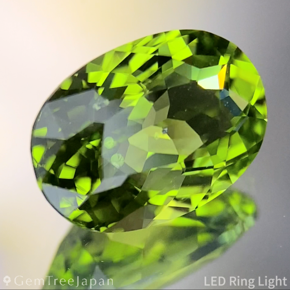 Peridot 3.174ct / Vietnam