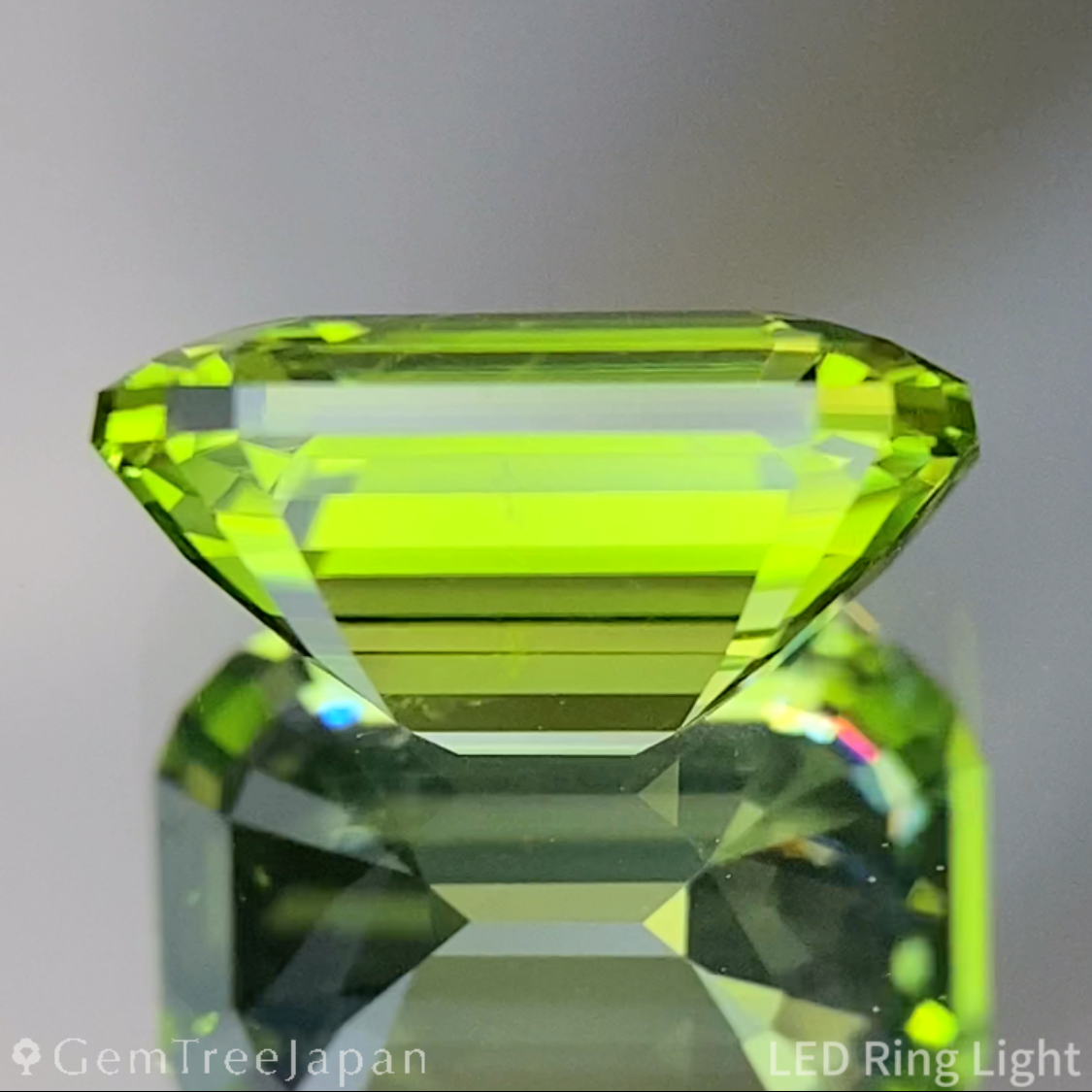 Peridot 2.360ct / Vietnam