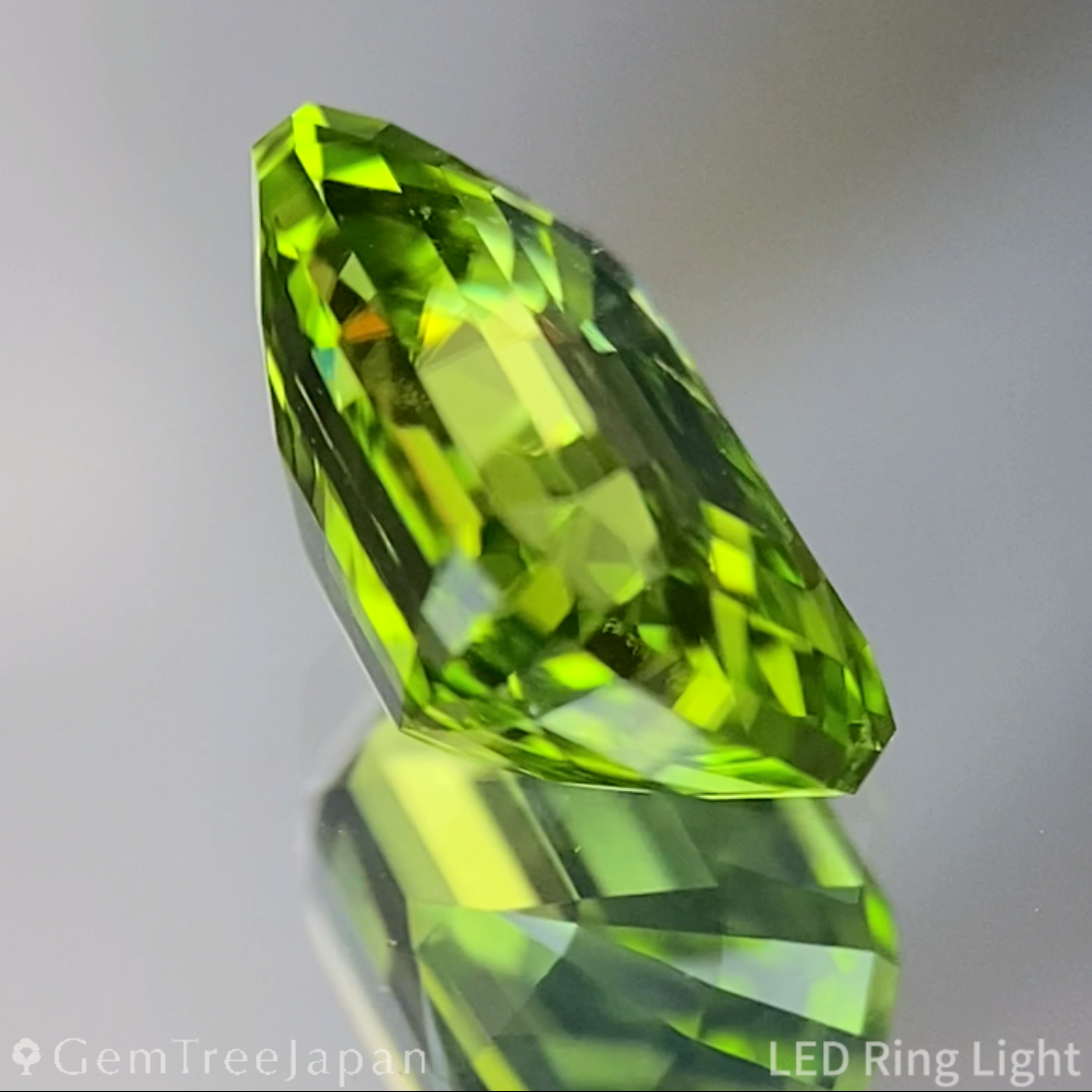 Peridot 2.360ct / Vietnam