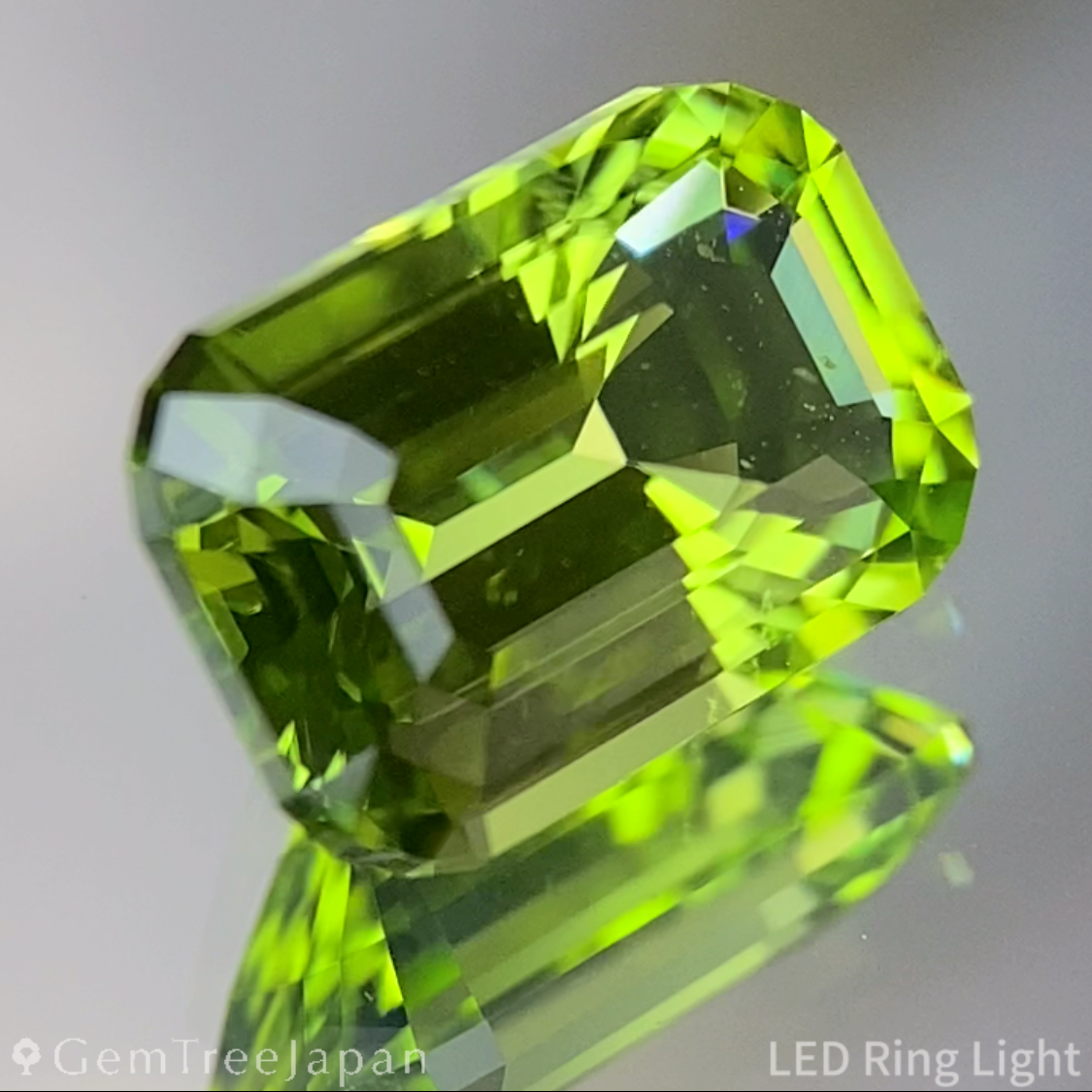 Peridot 2.360ct / Vietnam