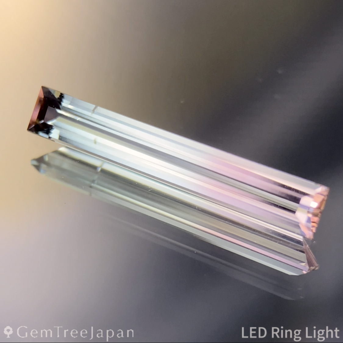 Bi-Color Tourmaline 0.850ct / Vietnam