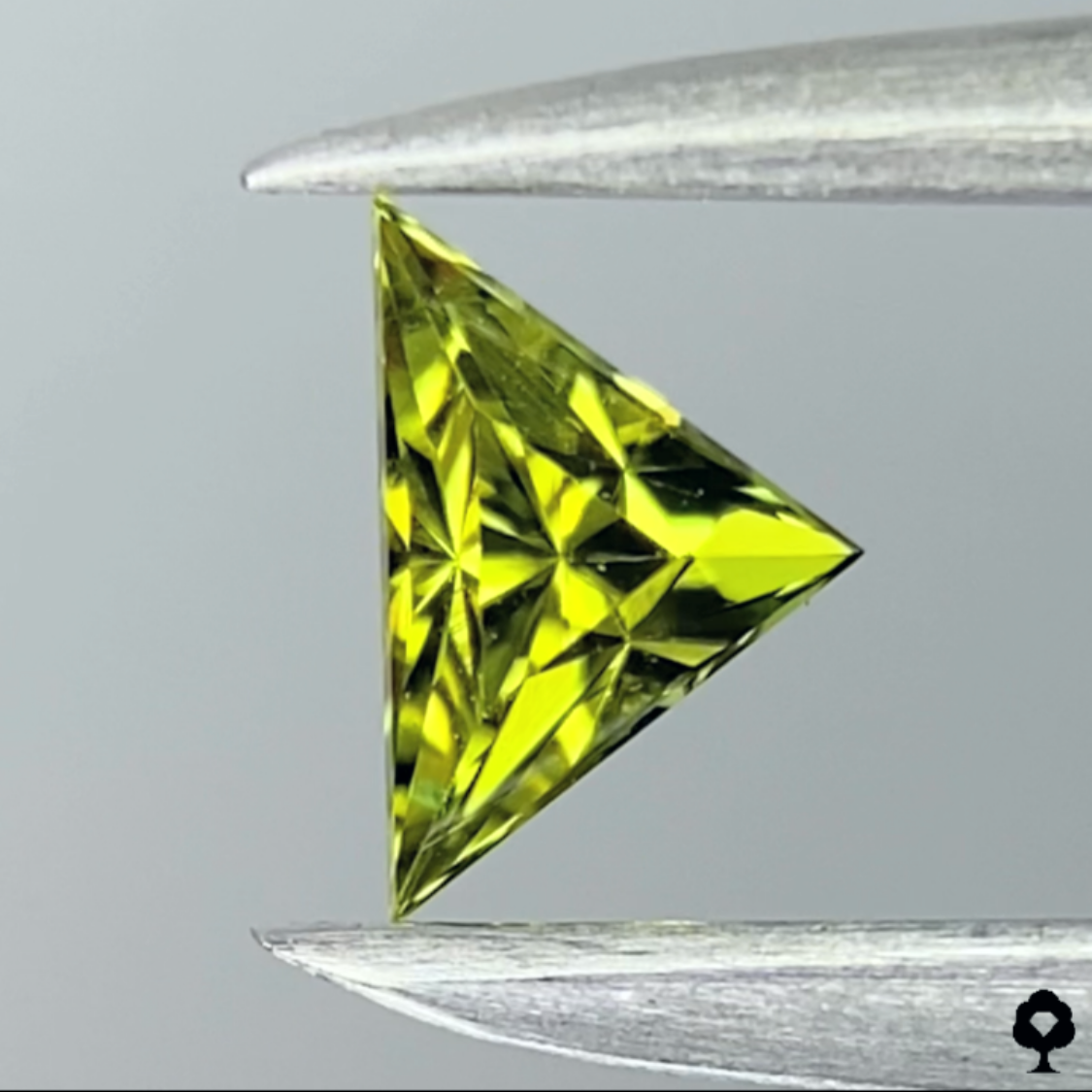 Andradite (Demantoid) Garnet 0.127ct / Tanzania