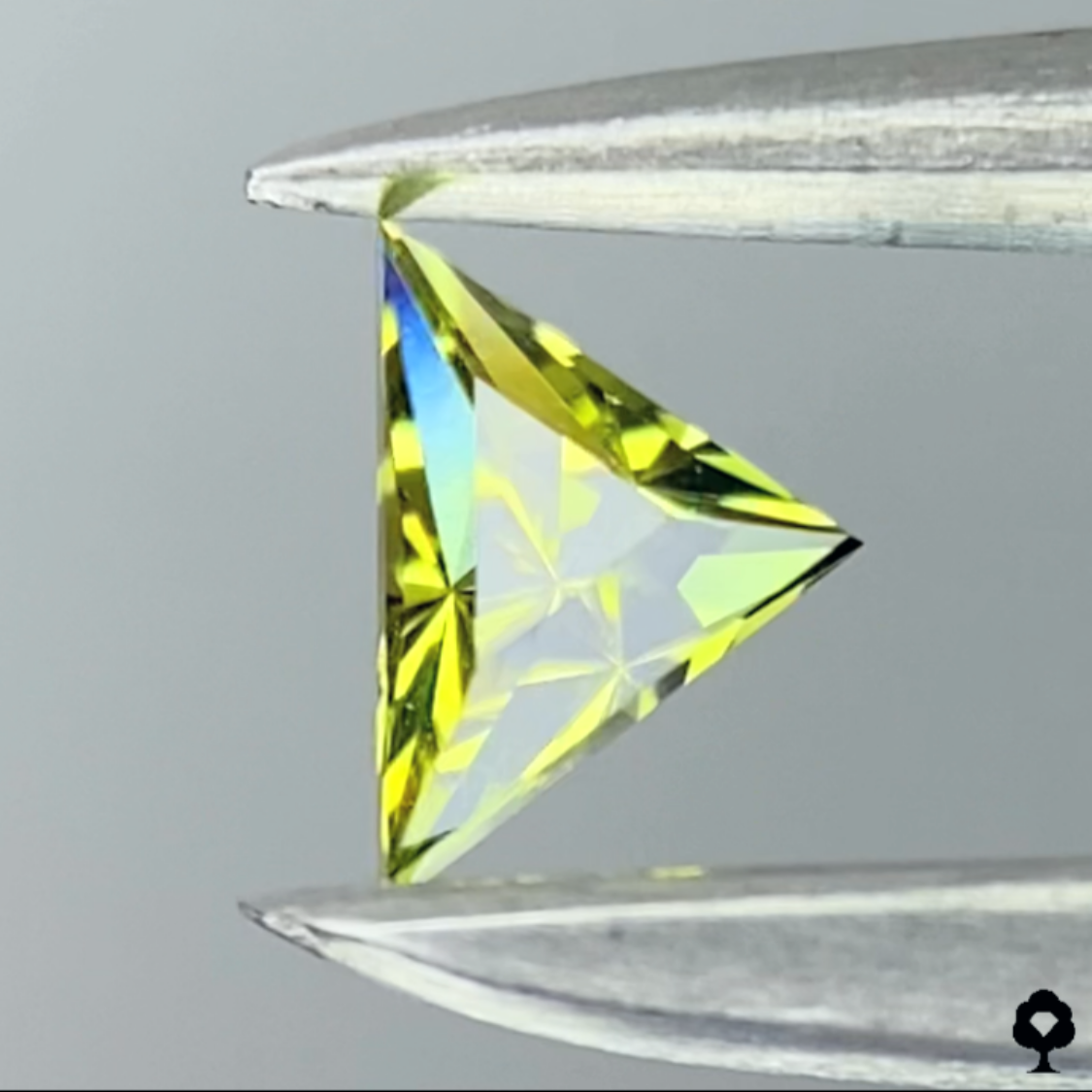 Andradite (Demantoid) Garnet 0.127ct / Tanzania