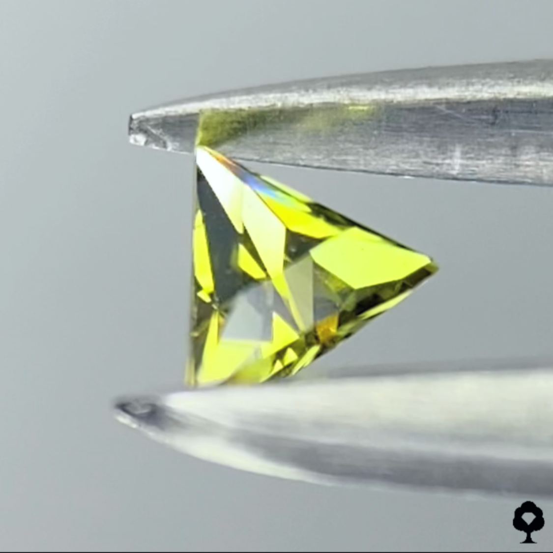 Andradite (Demantoid) Garnet 0.127ct / Tanzania