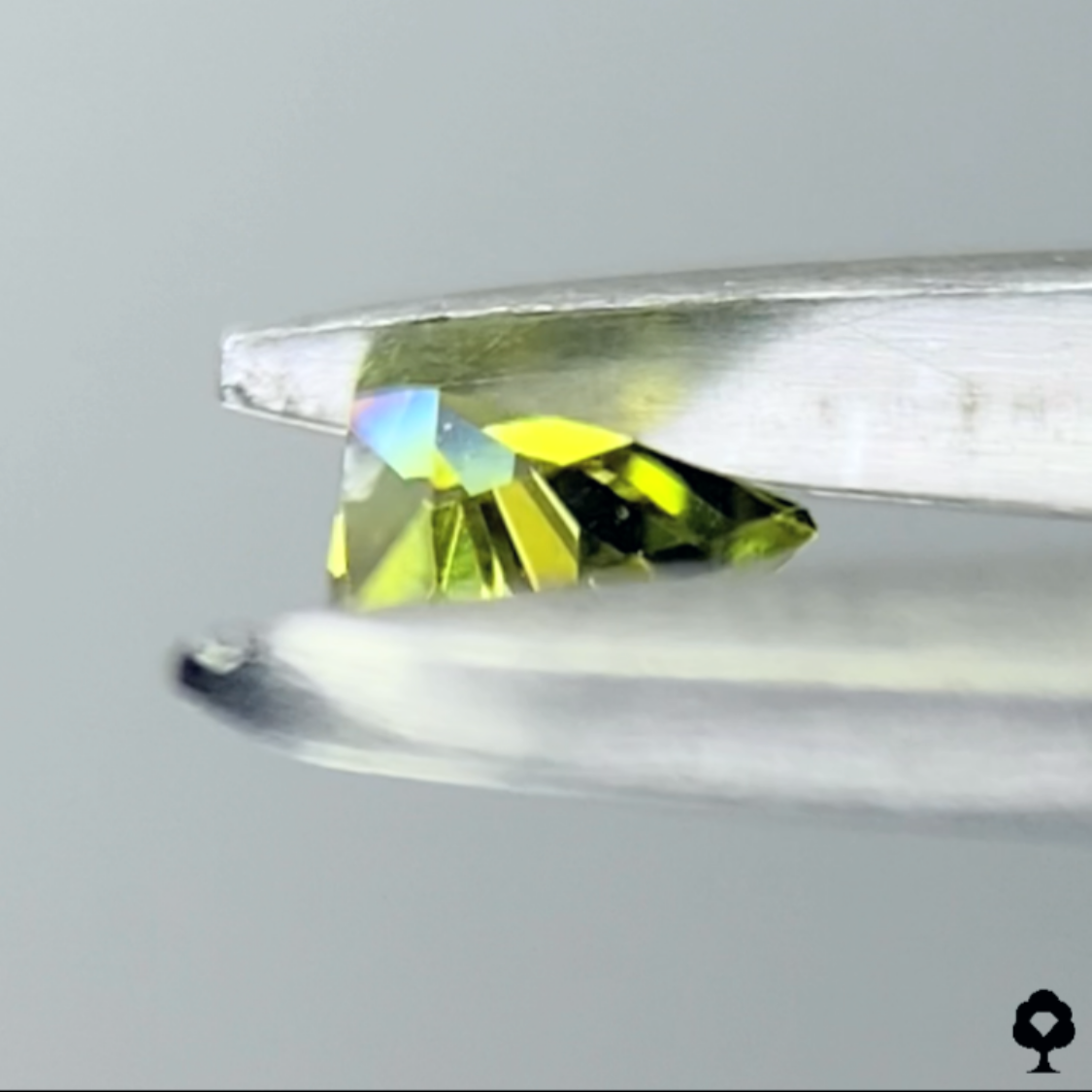 Andradite (Demantoid) Garnet 0.127ct / Tanzania