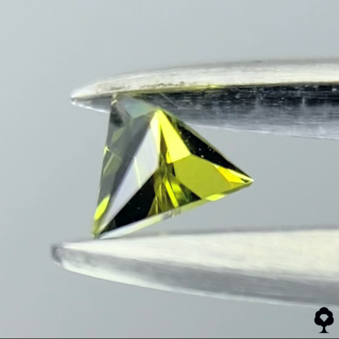 Andradite (Demantoid) Garnet 0.127ct / Tanzania