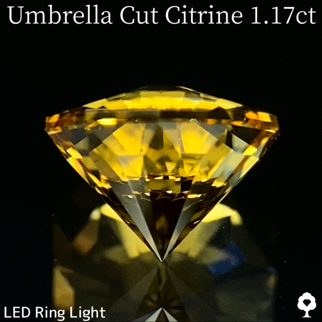 Citrine 1.17 ct / Brazil