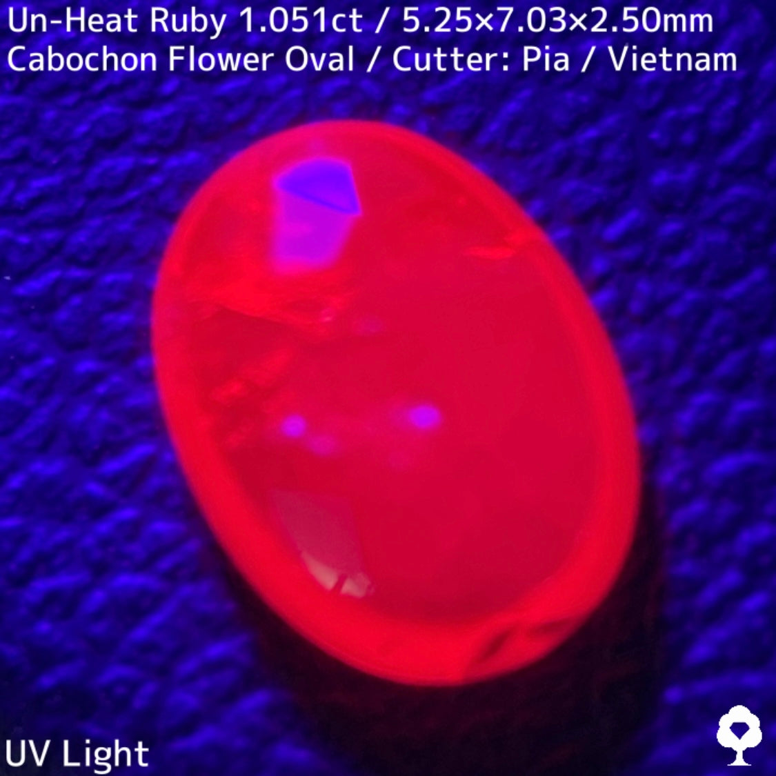 Un-Heat Ruby 1.051ct / Vietnam