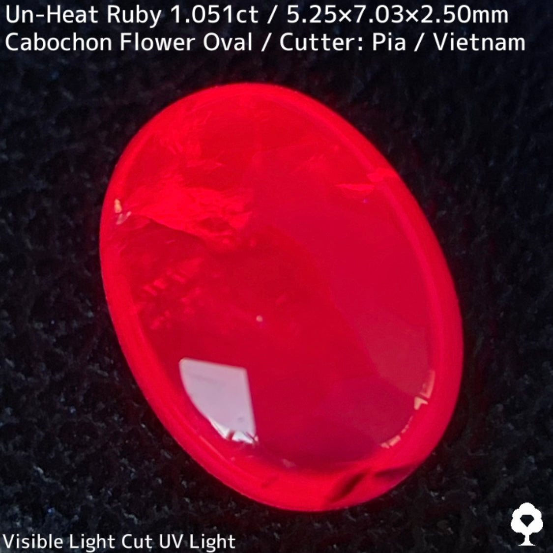 Un-Heat Ruby 1.051ct / Vietnam