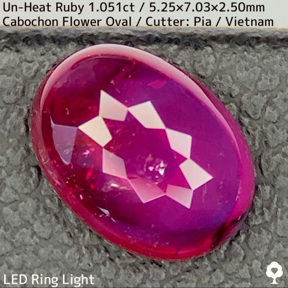 Un-Heat Ruby 1.051ct / Vietnam