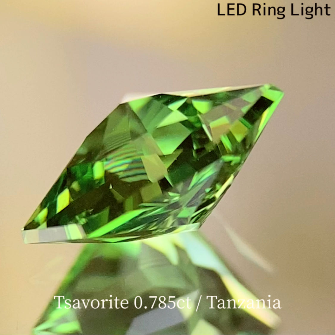 UV Change Tsavorite (Grossular Garnet) 0.785ct / Tanzania