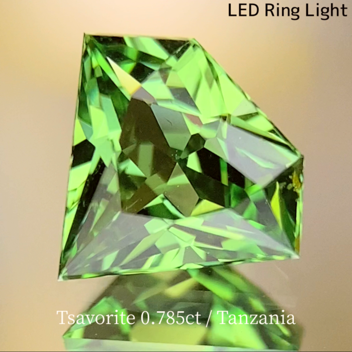 UV Change Tsavorite (Grossular Garnet) 0.785ct / Tanzania
