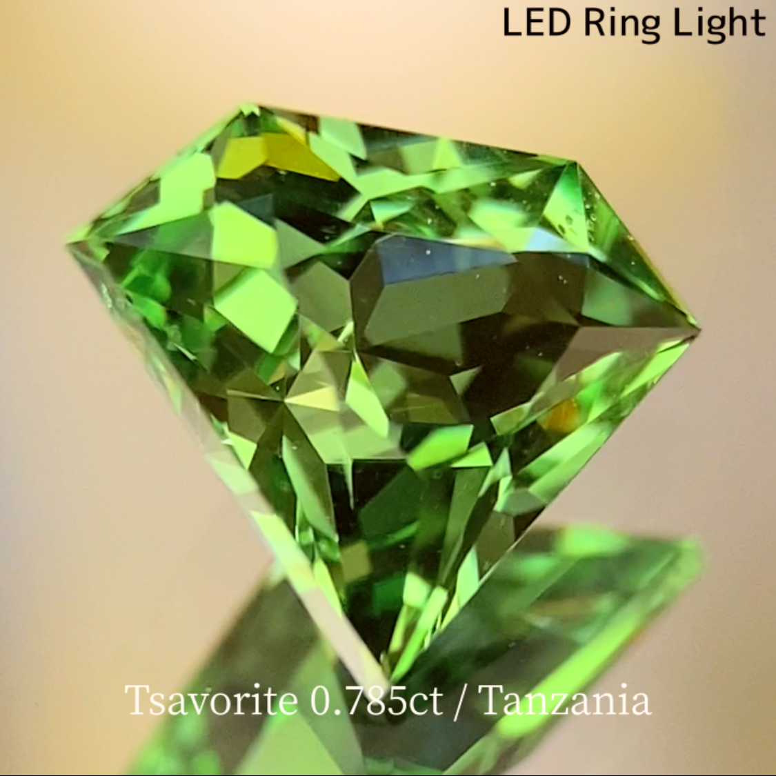 UV Change Tsavorite (Grossular Garnet) 0.785ct / Tanzania