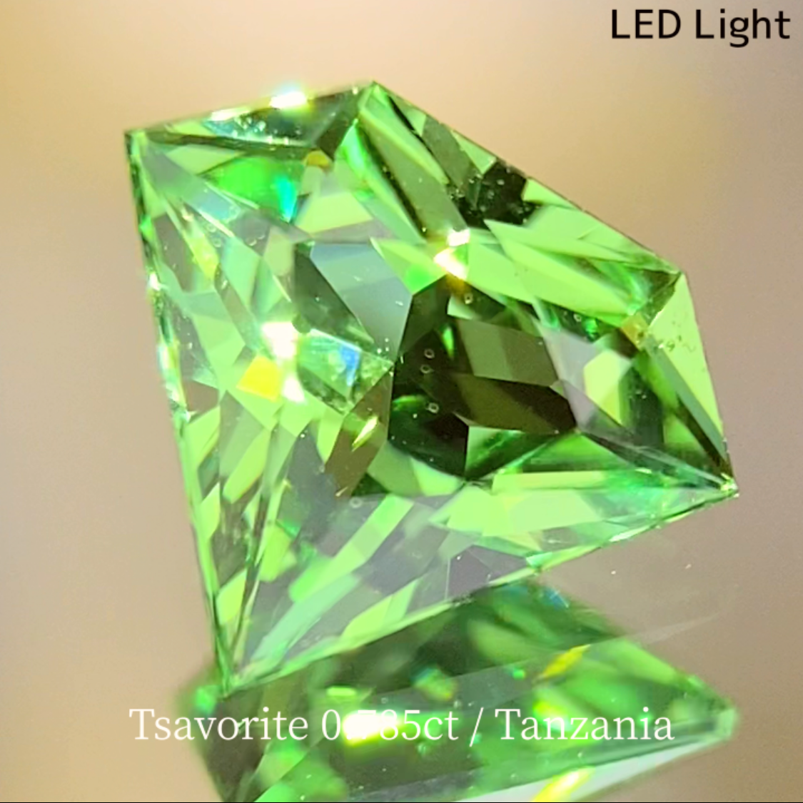 UV Change Tsavorite (Grossular Garnet) 0.785ct / Tanzania