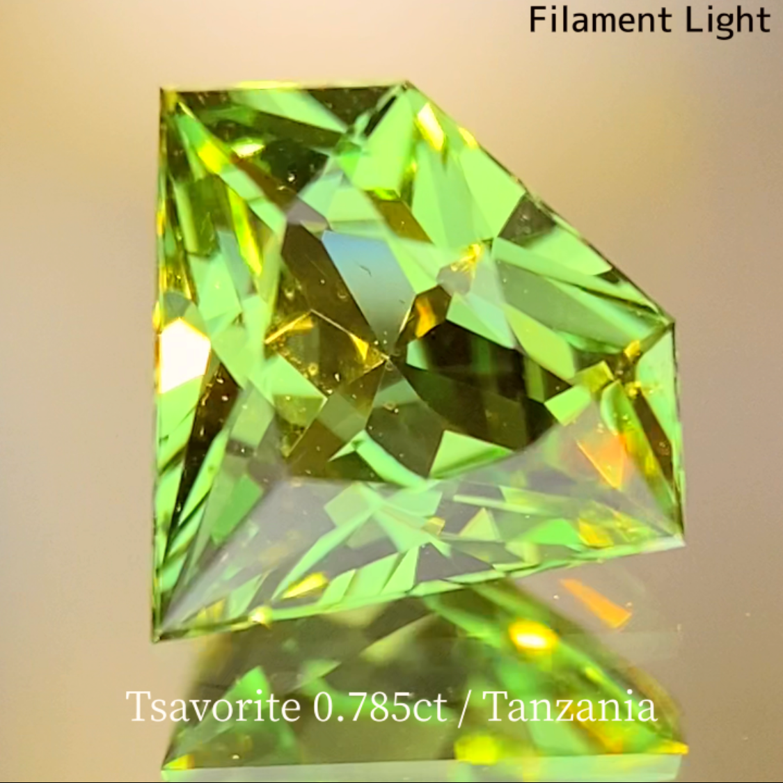 UV Change Tsavorite (Grossular Garnet) 0.785ct / Tanzania