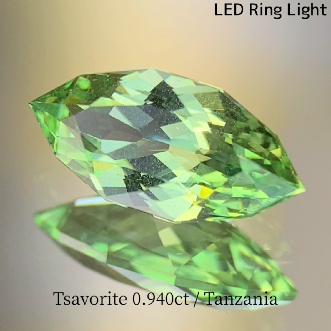 UV Change Tsavorite (Grossular Garnet) 0.940ct / Tanzania
