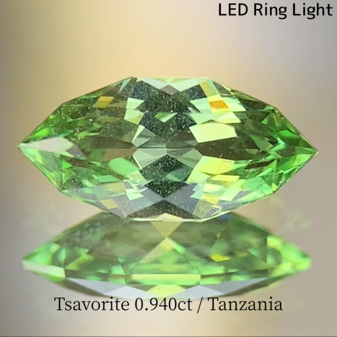 UV Change Tsavorite (Grossular Garnet) 0.940ct / Tanzania