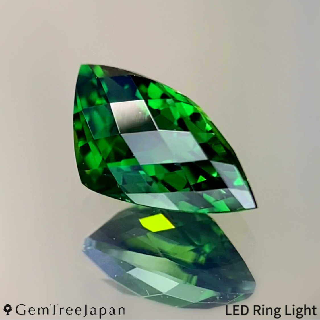 Chrome Tourmaline 0.774ct / Tanzania