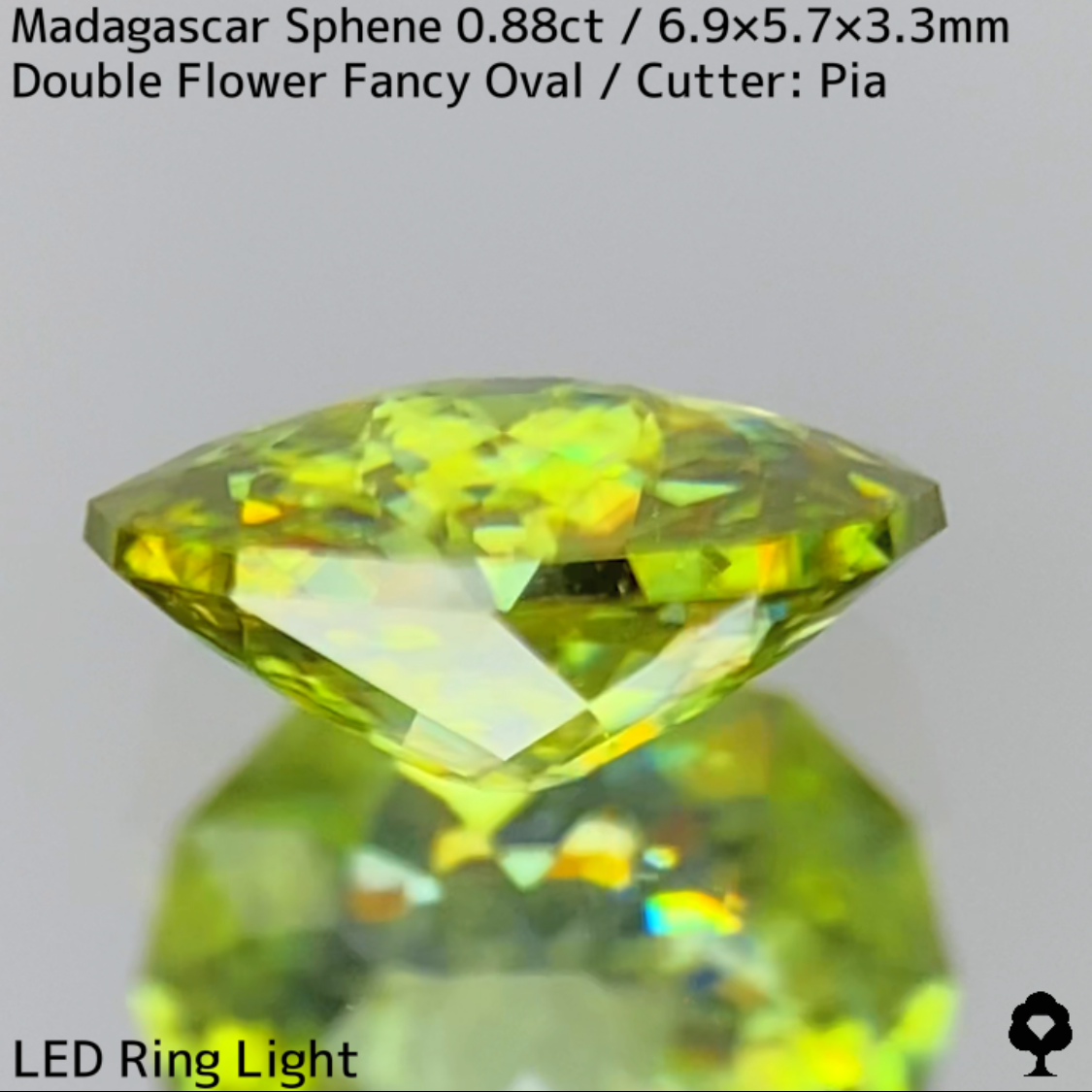 Sphene 0.88ct / New cut
