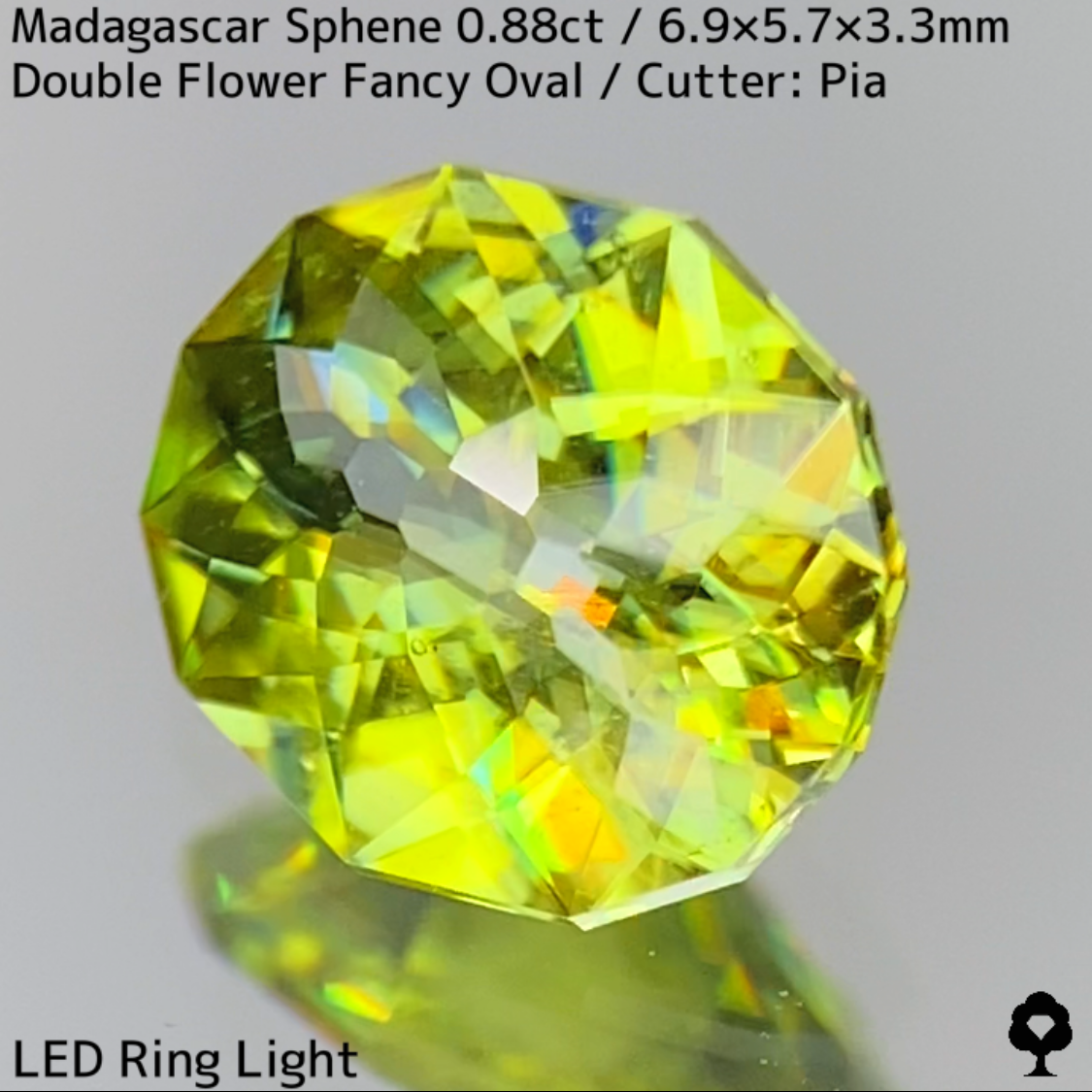 【NEW CUT】マダガスカル産スフェーン0.88ct★超ギラダブルフラワーカットでファイアー溢れる華やかなイエローイッシュグリーン