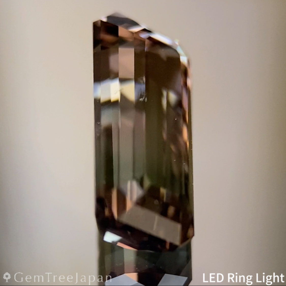 Parti-Color Tourmaline 2.638ct / Afghanistan