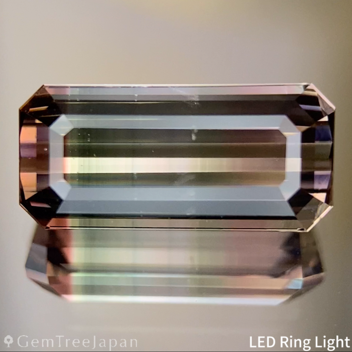 Parti-Color Tourmaline 2.638ct / Afghanistan