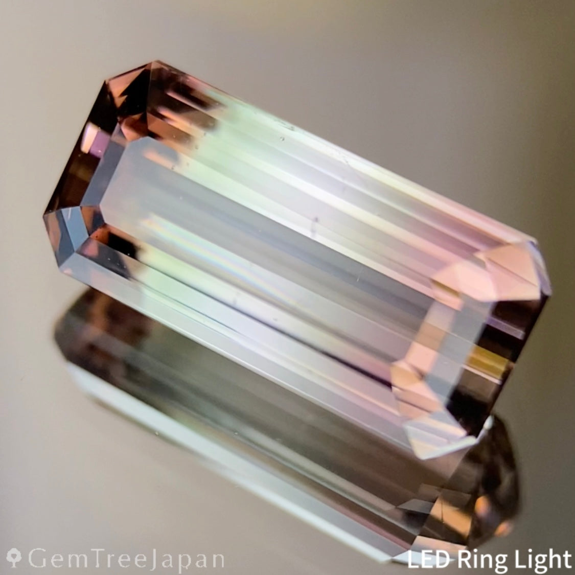 Parti-Color Tourmaline 2.638ct / Afghanistan