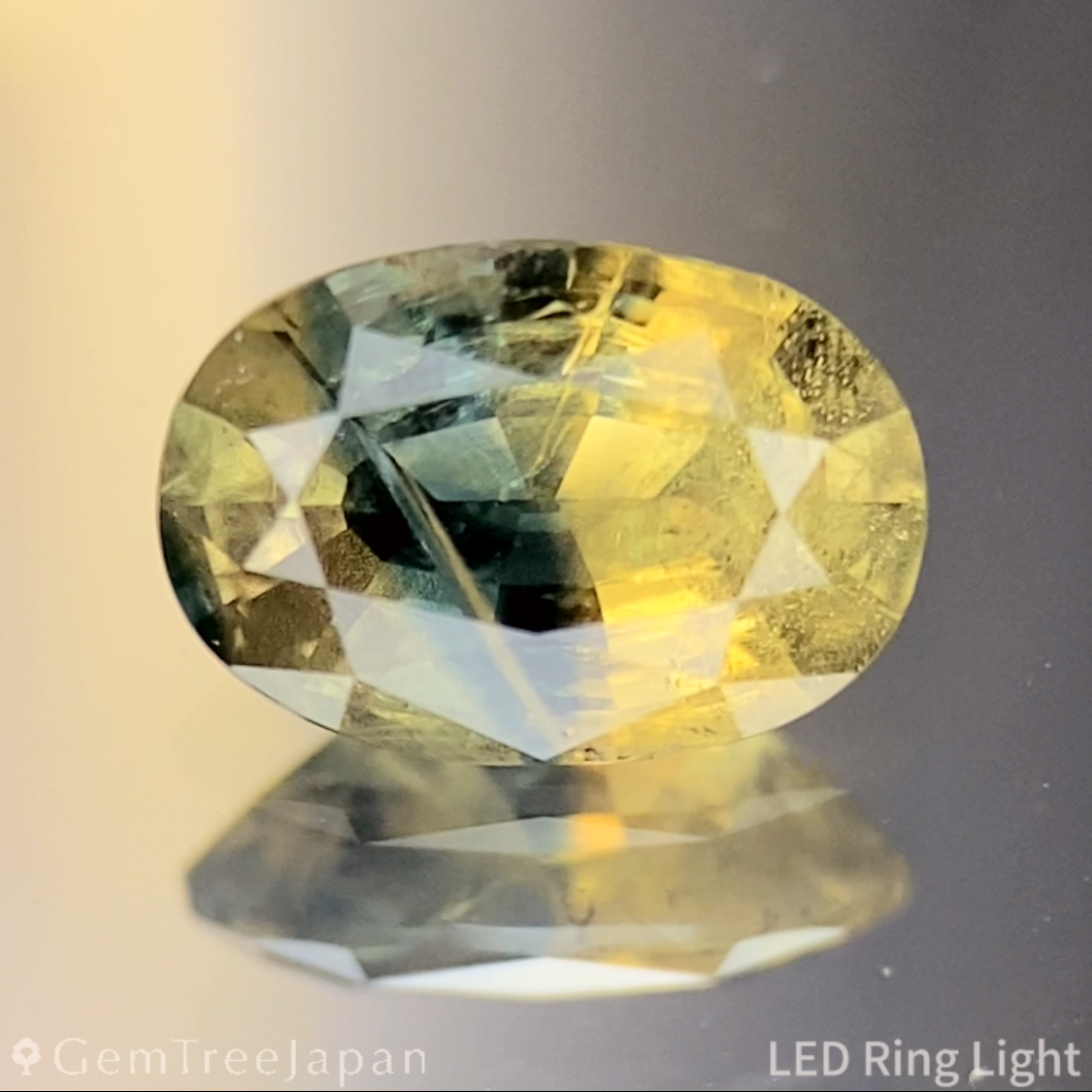 Un-Heat Parti-Color Sapphire 0.824ct / Vietnam