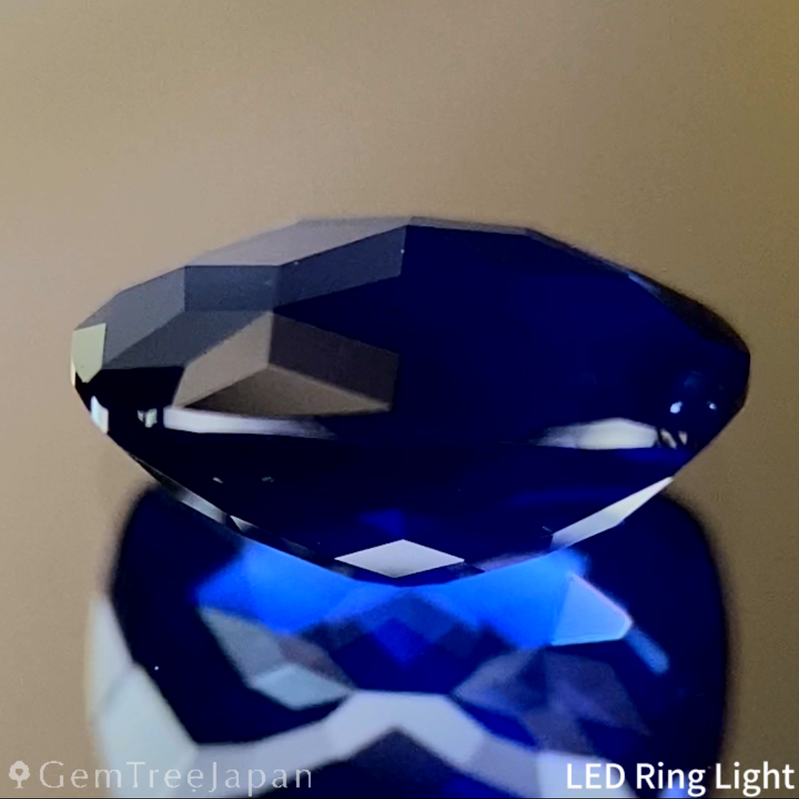 Royal Blue Sapphire 1.504ct / Burma