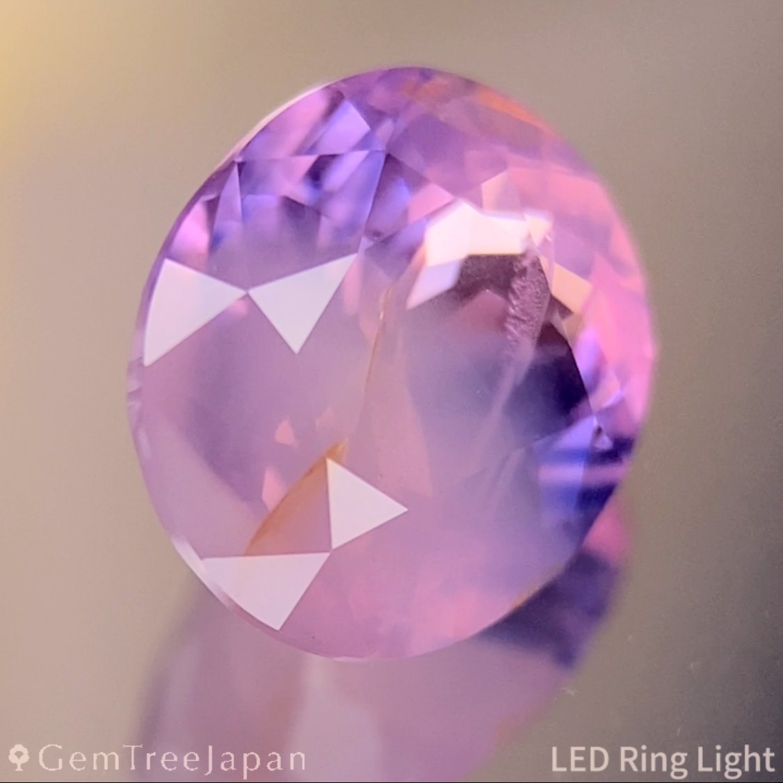 Un-Heat Parti-Color Sapphire 1.810ct / Vietnam