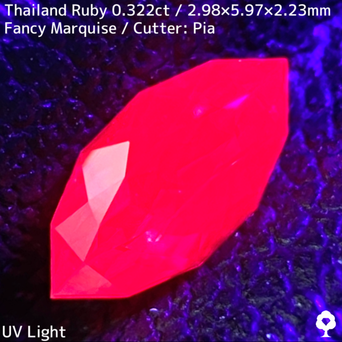 【Present campaign】Ruby 0.322ct / Thailand
