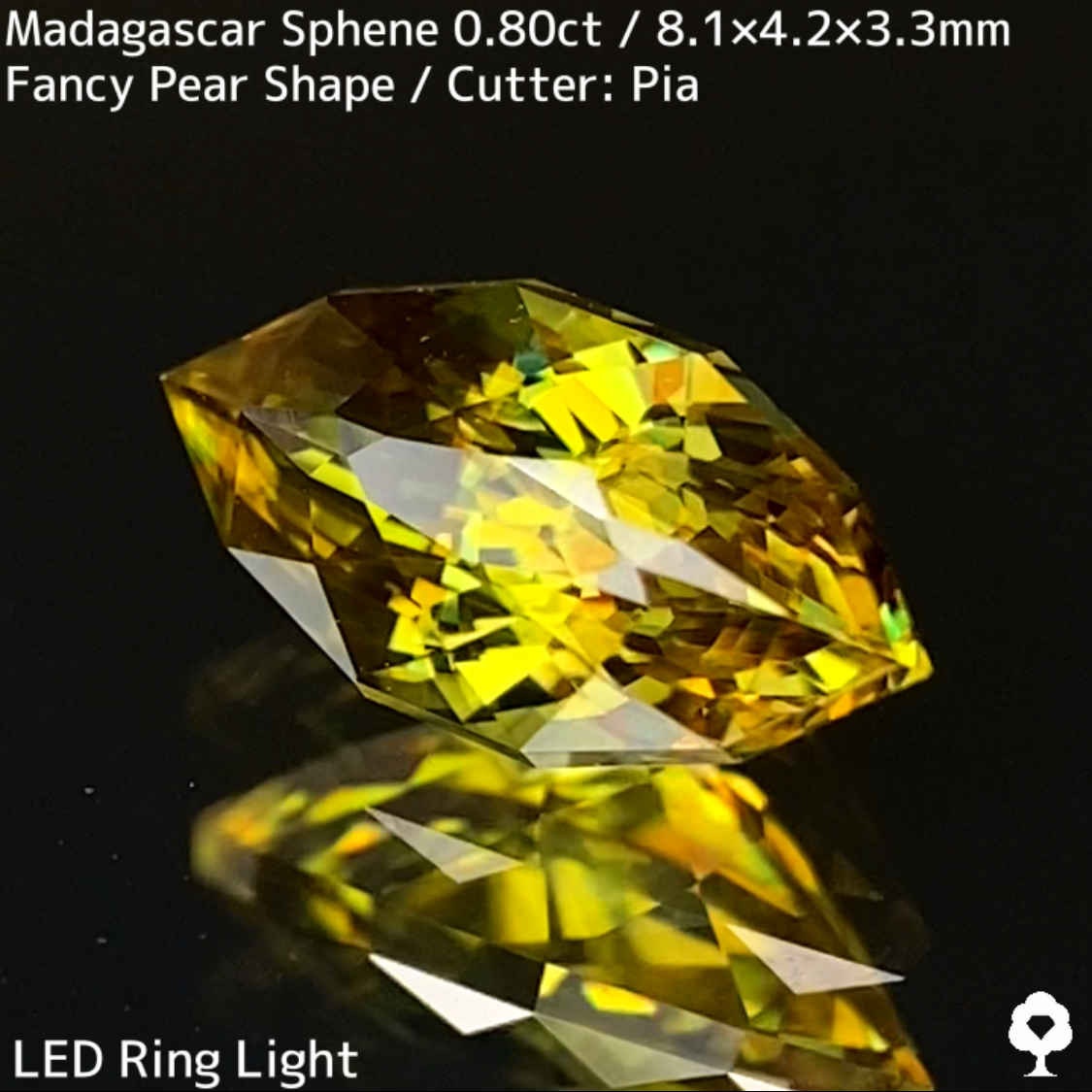 Sphene 0.80ct / New cut