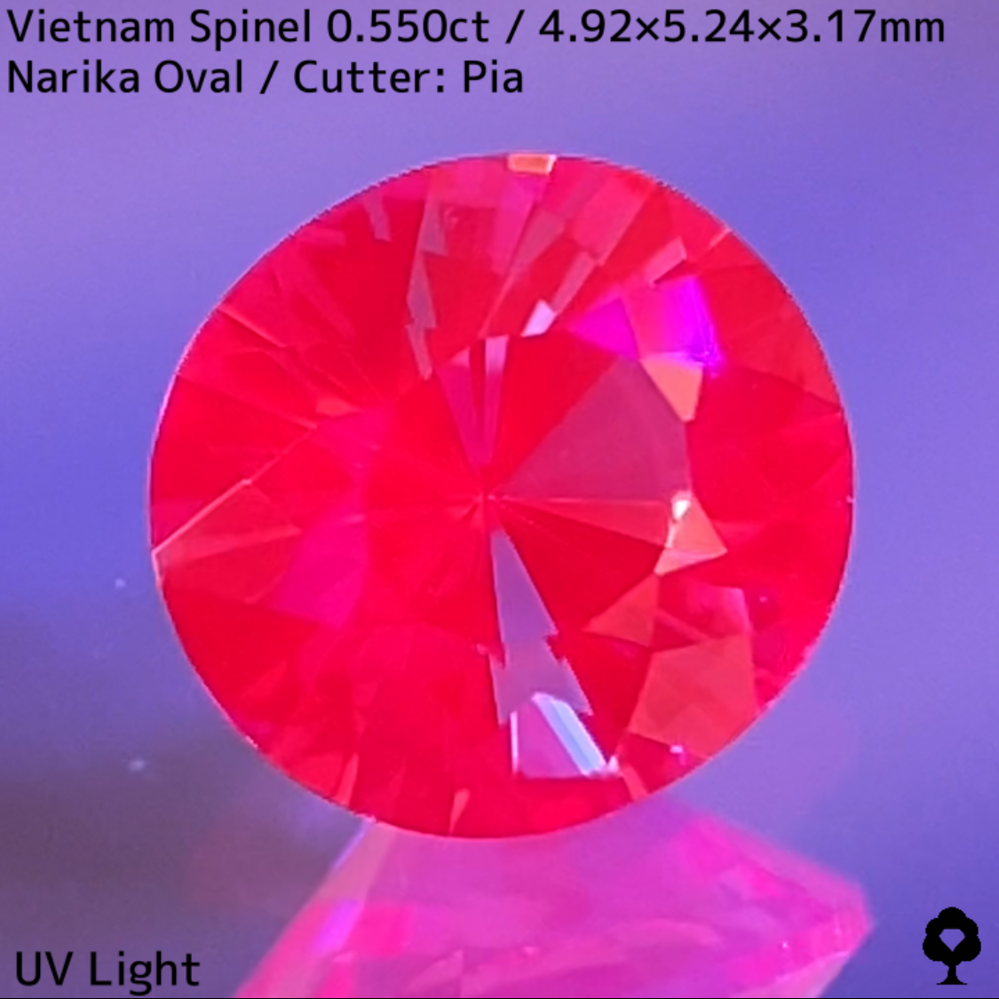 Orangy Pink Spinel 0.550ct / Vietnam
