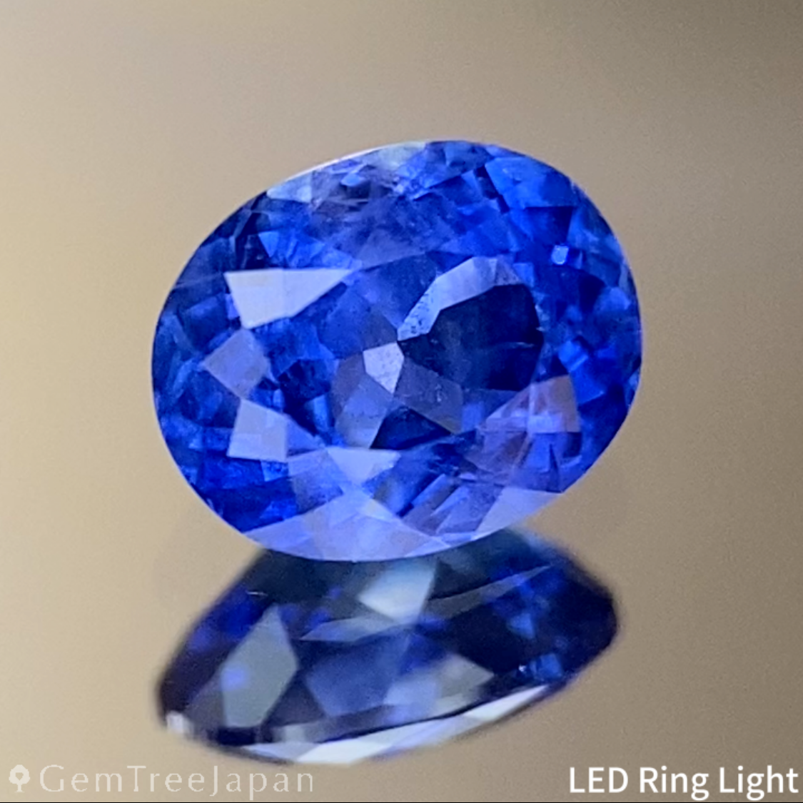 Cornflower Blue Sapphire 0.45ct / Burma